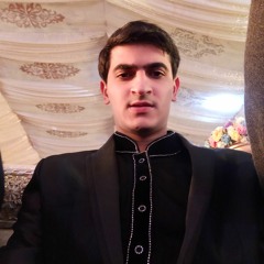 Muhammad Imran Asif Butt