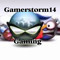 GAMERSTORM 14