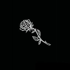 Maddison ☆ *:･ﾟ✧