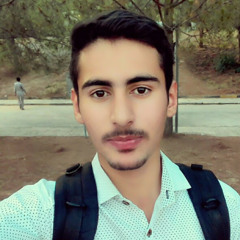 Muhammad Haris