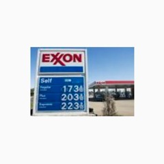 Wayne Tracker (Tony D)