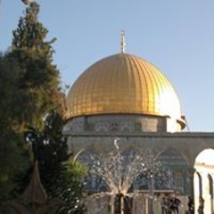 ثائر ربايعة