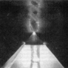 Junglezz - Autumn thoughts