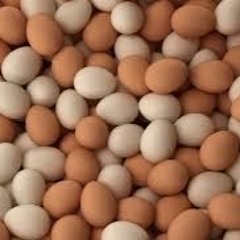EggMomm