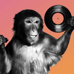 Macaco Groove
