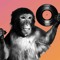 Macaco Groove
