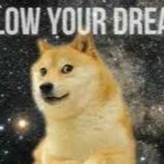 Mr.Doge