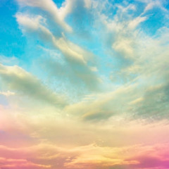 Shahzaib Saleem - (2542)