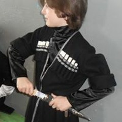 გიორგი გოგოხია