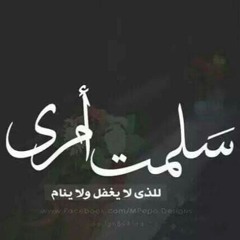 abdelaziz ayman