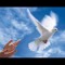 SAINT Yoann Estingoy °=+/.333