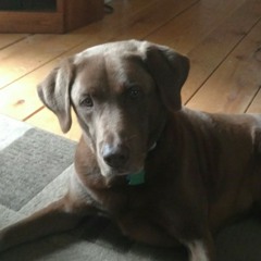 Dave