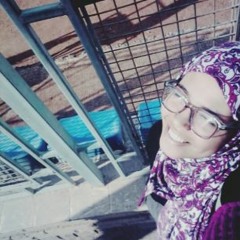 Hajar Elabshihy