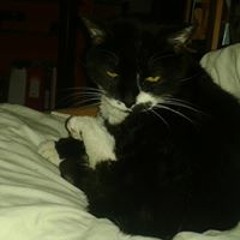 Marie-Josée Deubelbeiss