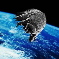 Tardigrade