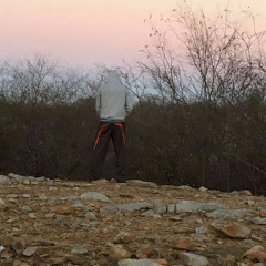 Adeeb Malik