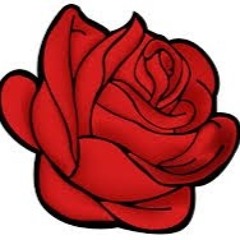 Jennifer Rodas Maldonado