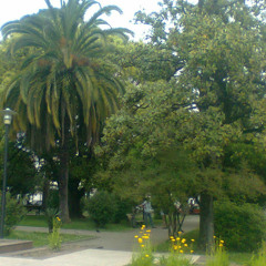 Eana City