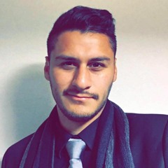 Lejfieg