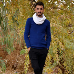 حيدر المدرعي الشمري