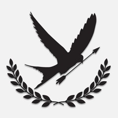 Grand Skyfall Studios