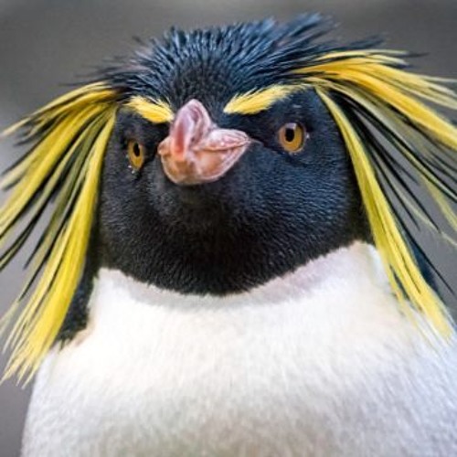 Stream Leads by Leaky Tampon Leaks | Listen online for free on SoundCloud