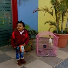 Nesma Saif