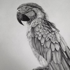 Millian Grey
