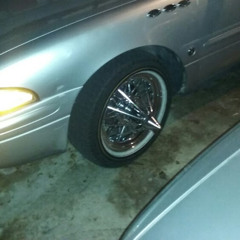 rock star young bleed