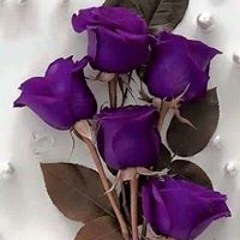 نغمة موبايل شرين حبه جنه