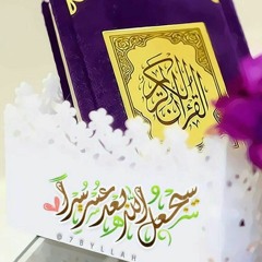 ahmed abdel qawy