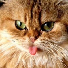 outside of Knoxville