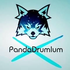 PandaDrumIum / Paradox Engineer