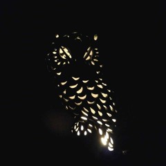 Adam KnightOwl Mcknight