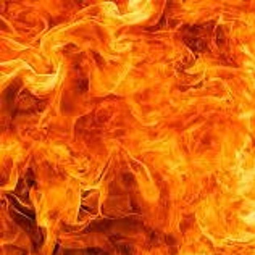 Electric Vibes Trying Out Guitars (Prs McCarty)