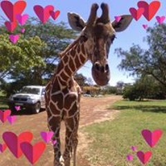 Karen Schwartz Wirima