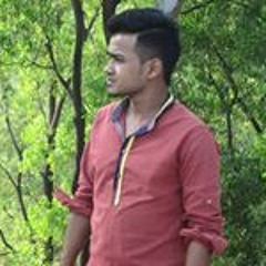 Anamul Houqe Manik
