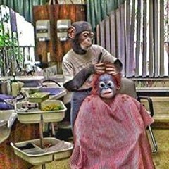Retro Hairstyle