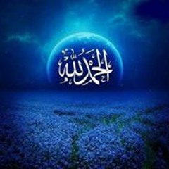 رضا عامر