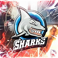 Sharks Records