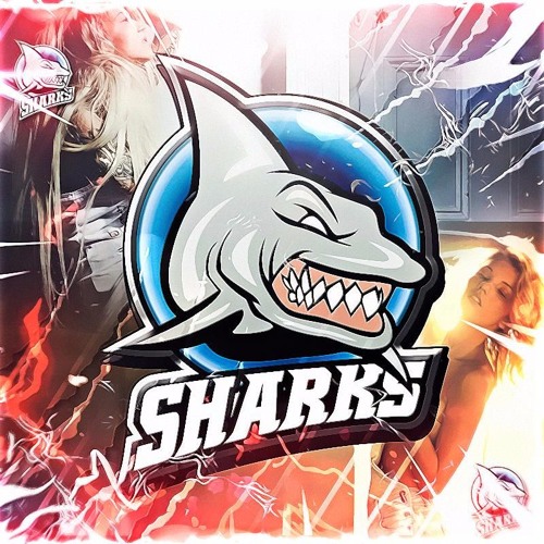 Sharks Records’s avatar