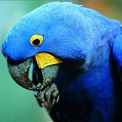 Instrumental Kizomba