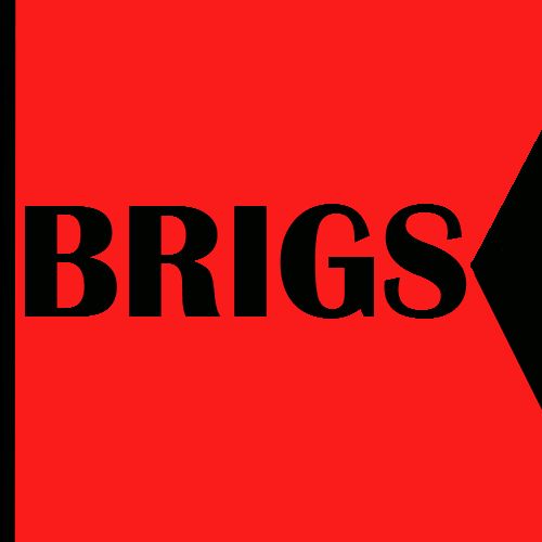BRIGS