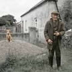 Seamus O'Connell Project