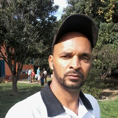 Sandro corte
