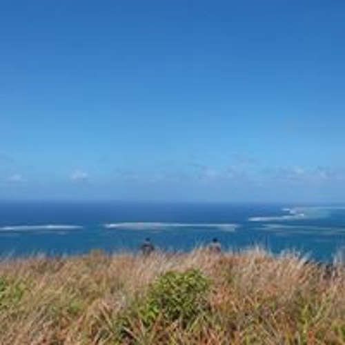 Singoto