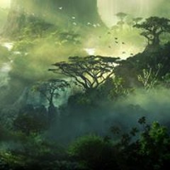 Andi Tree C