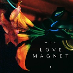 LOVE MAGNET