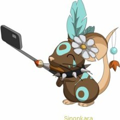 Sinonkara