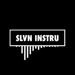 SLVN INSTRU